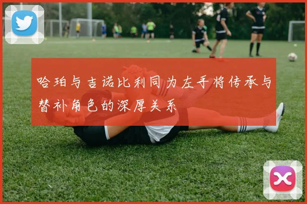 哈珀与吉诺比利同为左手将传承与替补角色的深厚关系