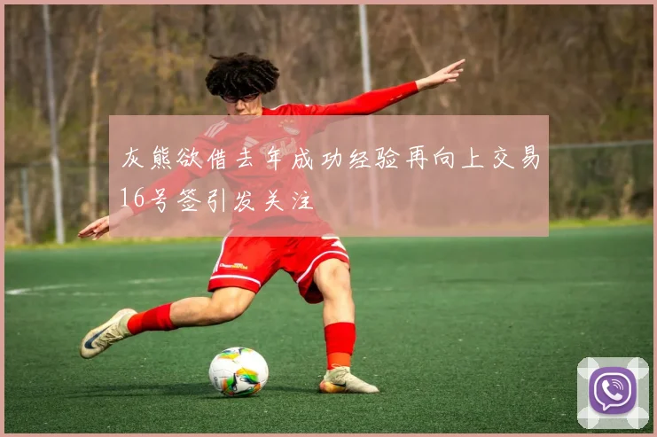 灰熊欲借去年成功经验再向上交易16号签引发关注